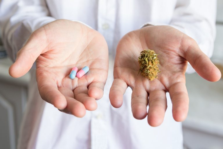 Doctor,Hand,Holding,Bud,Of,Medical,Cannabis,And,Pills